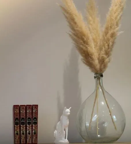 Casa vacanze Le Petit Buis